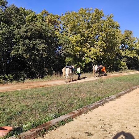 Varages Domaine De La Blaque - B&B מראה חיצוני תמונה