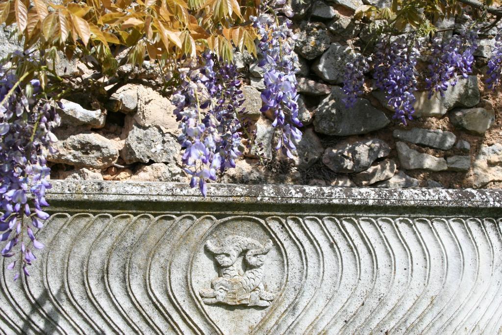 Varages Domaine De La Blaque - B&B חדר תמונה