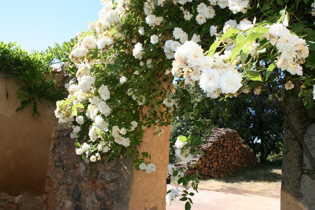 Varages Domaine De La Blaque - B&B מראה חיצוני תמונה