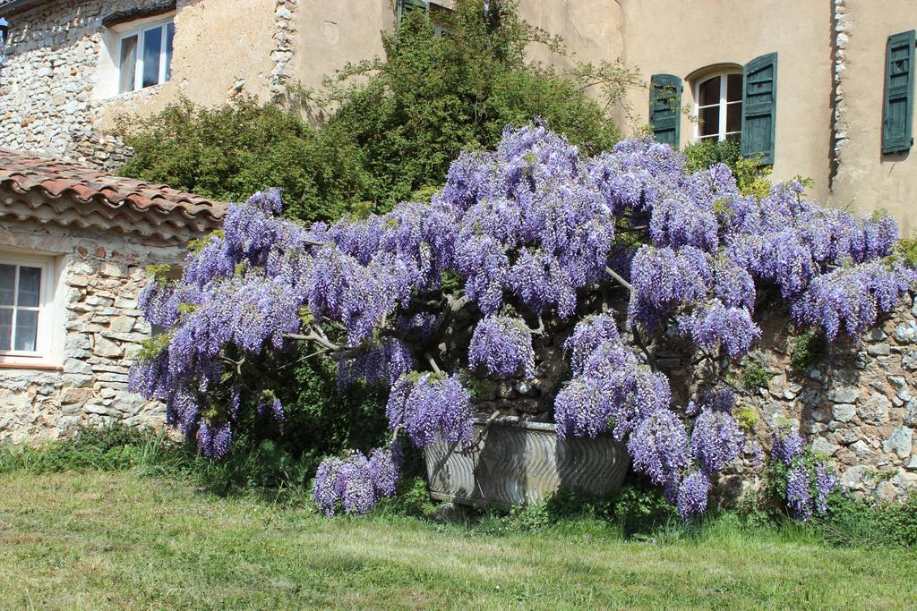 Varages Domaine De La Blaque - B&B מראה חיצוני תמונה